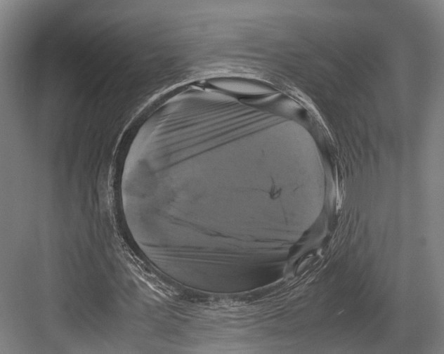 X0000081570387200702121427