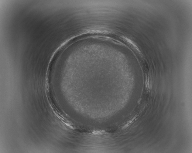 X0000081570388200702121427