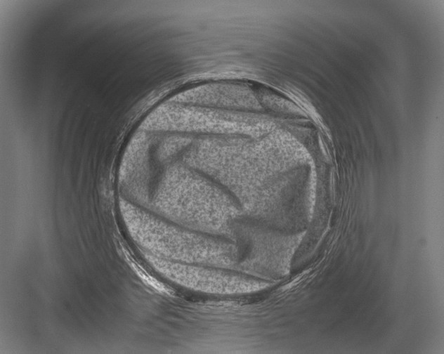 X0000081570389200702121427