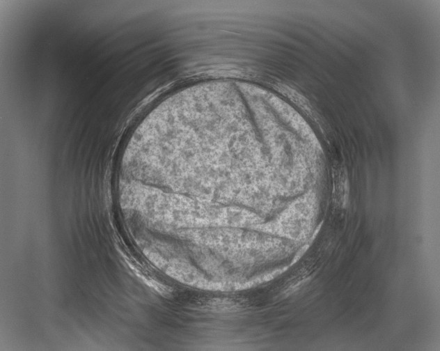 X0000081570390200702121427