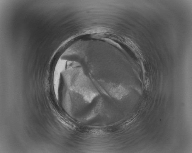 X0000081570392200702121427