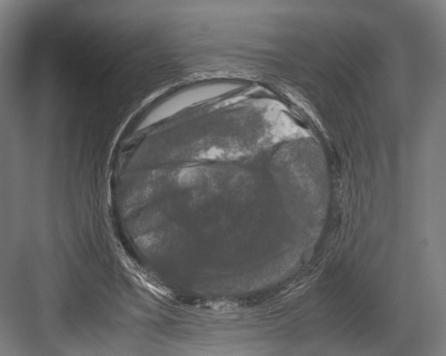 X0000081570395200702121427