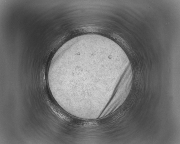 X0000081570398200702121427