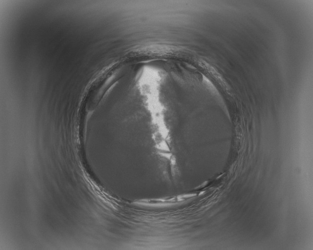 X0000081570399200702121427