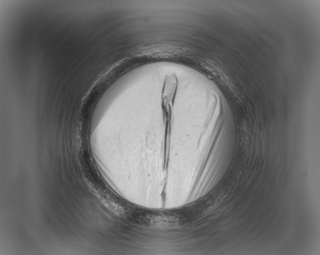 X0000081570400200702121427