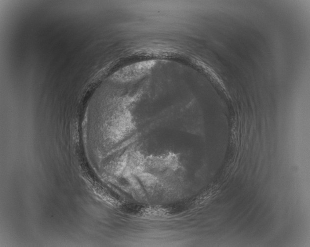 X0000081570403200702121427