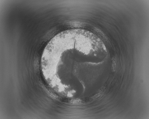 X0000081570410200702121427