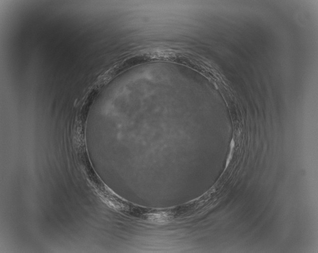 X0000081570411200702121427