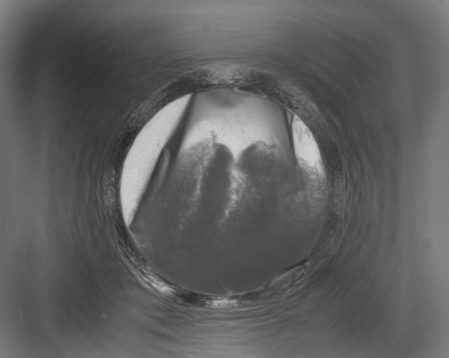 X0000081570413200702121427