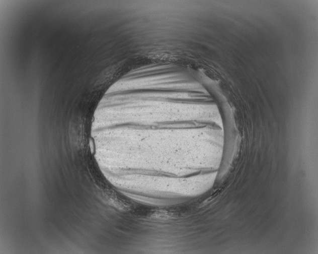 X0000081570416200702121427