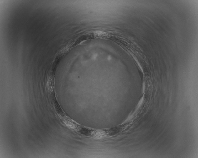 X0000081570419200702121427