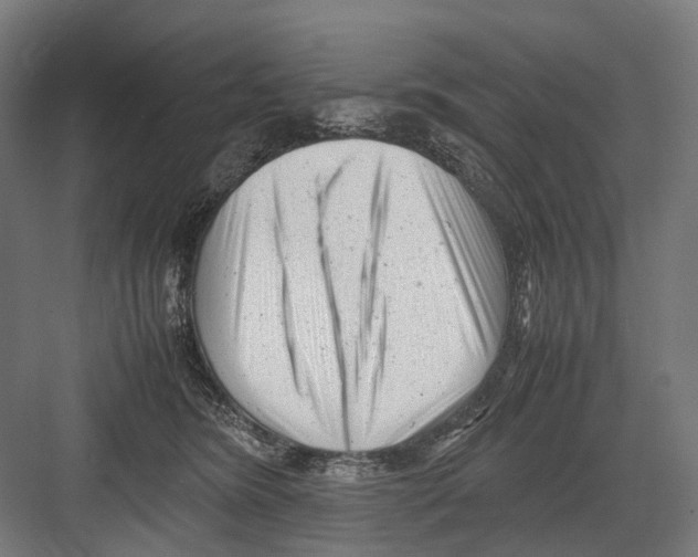 X0000081570420200702121427