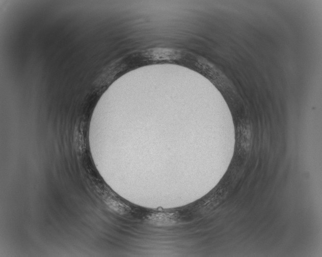 X0000081570422200702121427