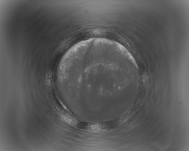 X0000081570423200702121427