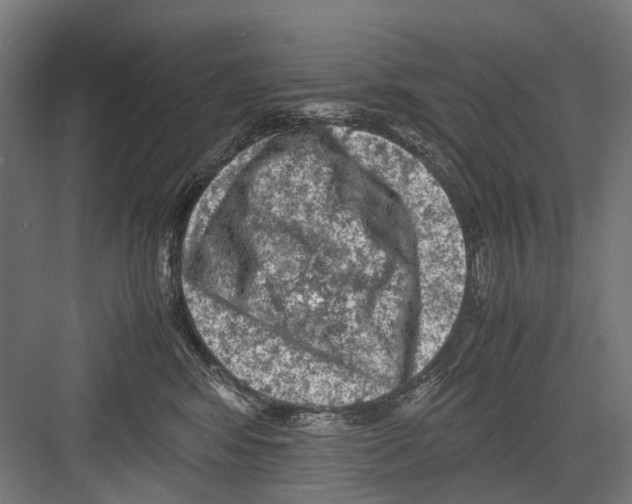 X0000081570424200702121427