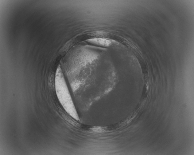 X0000081570425200702121426