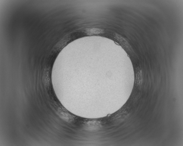 X0000081570426200702121426