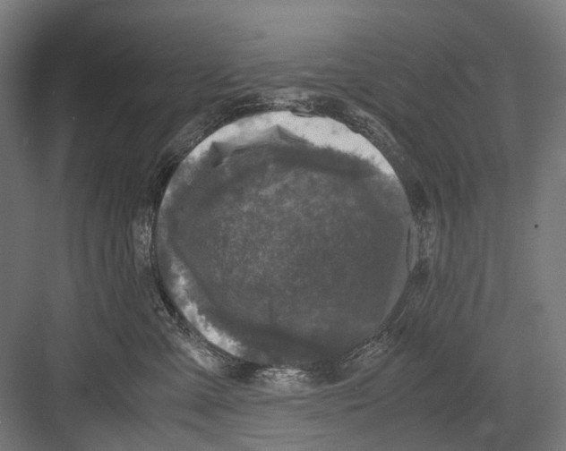 X0000081570427200702121426