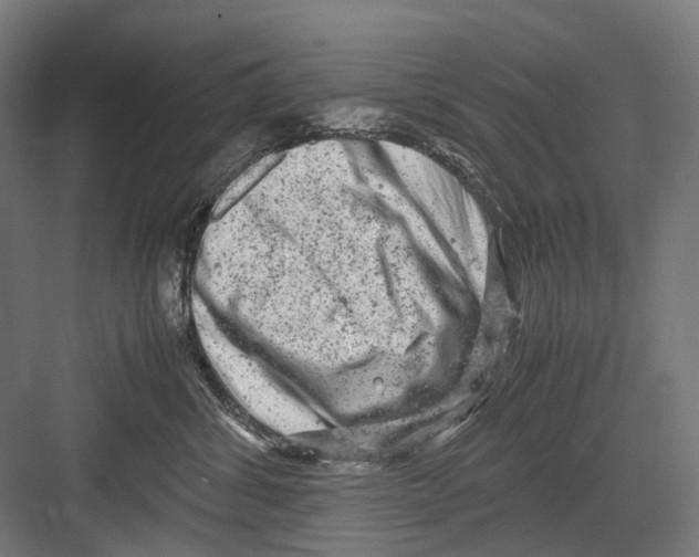 X0000081570428200702121426