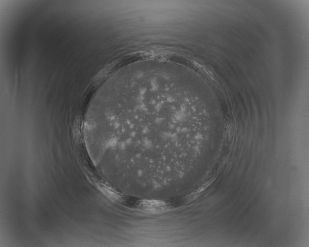 X0000081570429200702121426