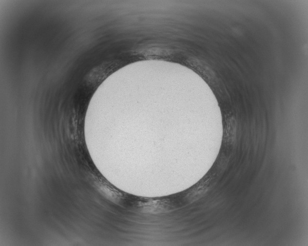 X0000081570430200702121426