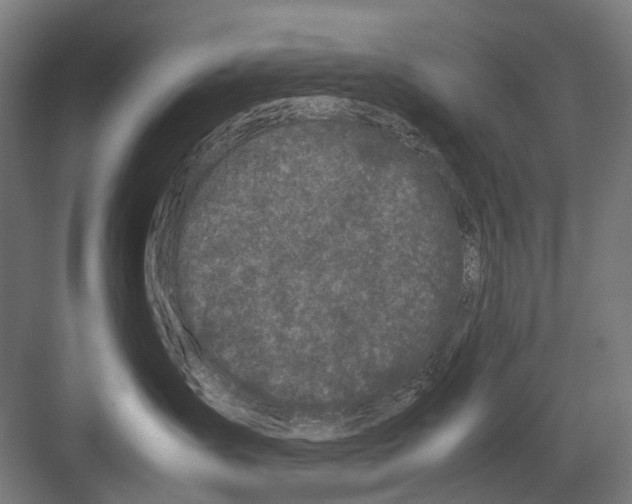 X0000081570431200702121426