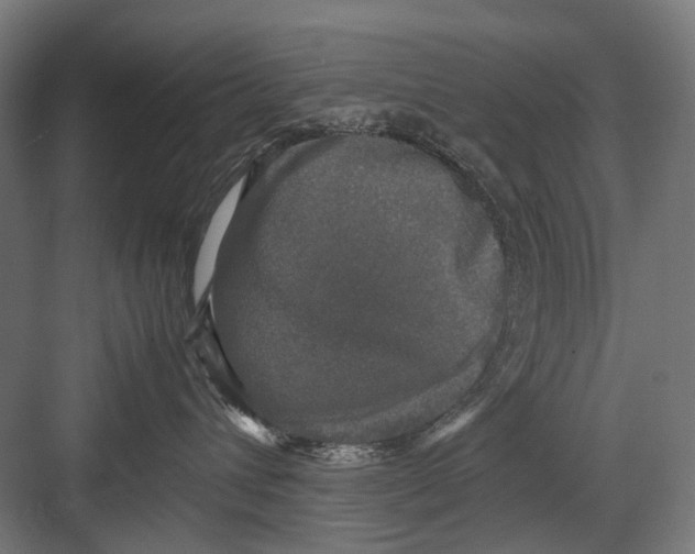 X0000081570432200702121426