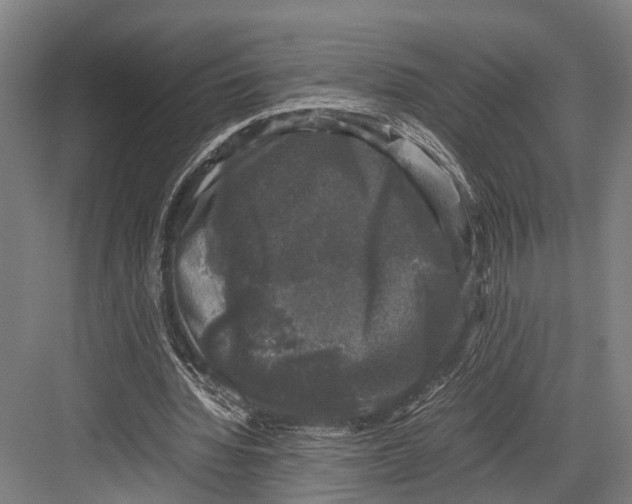 X0000081570436200702121426