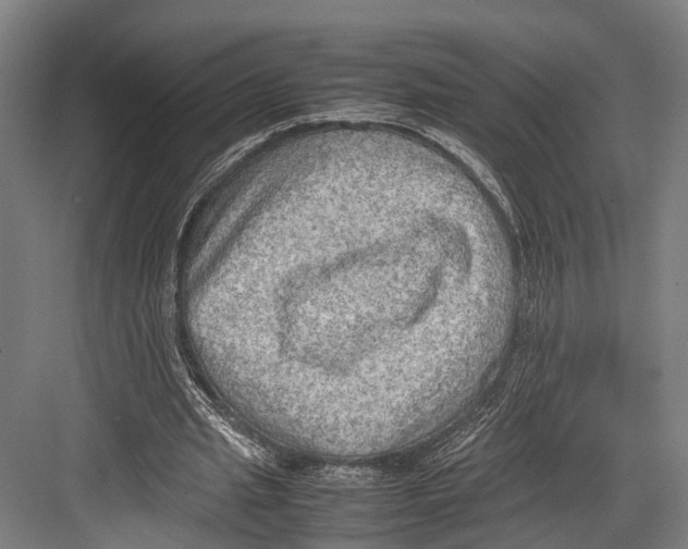 X0000081570437200702121426