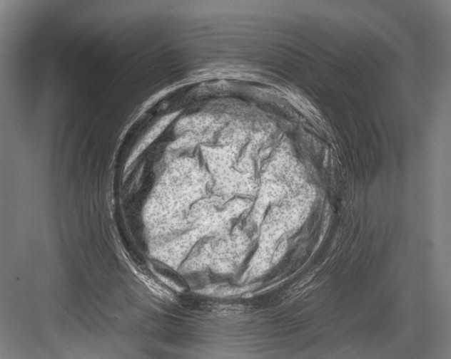 X0000081570438200702121426