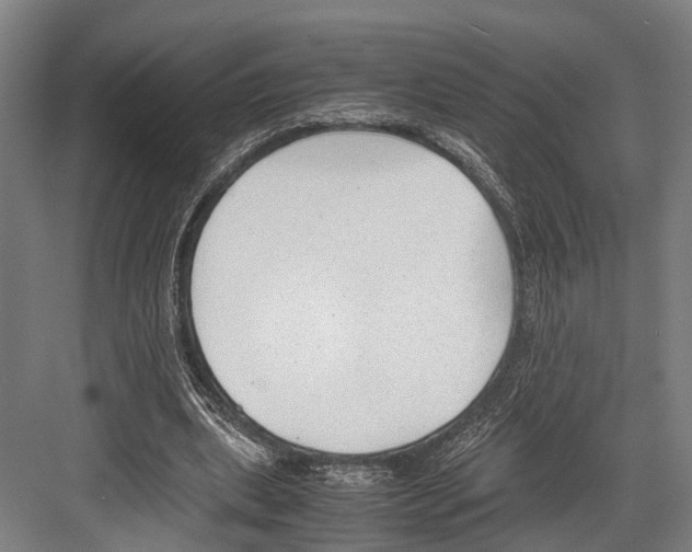 X0000081570439200702121426