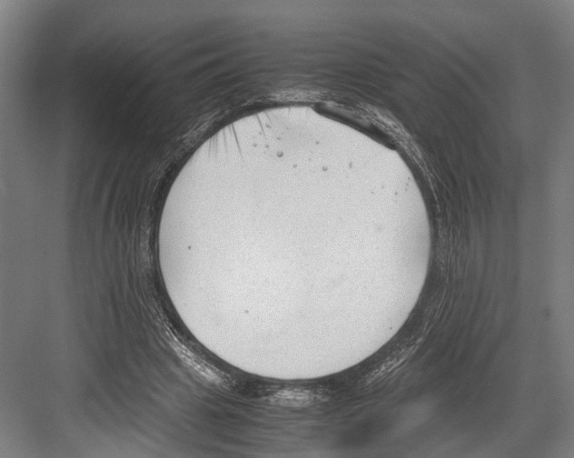 X0000081570441200702121426