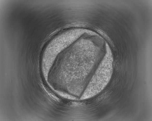 X0000081570442200702121426