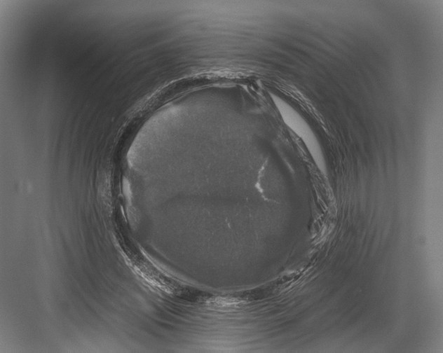 X0000081570444200702121426