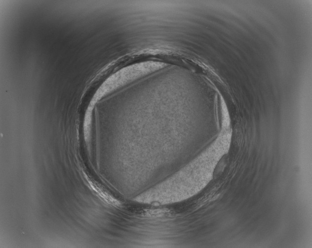 X0000081570446200702121426