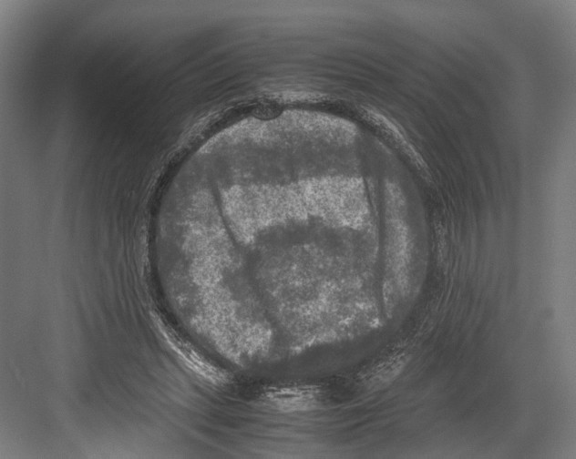 X0000081570447200702121426