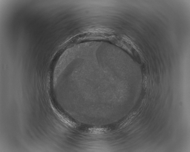 X0000081570448200702121426