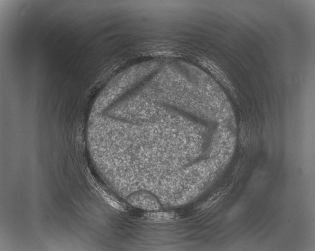 X0000081570449200702121426