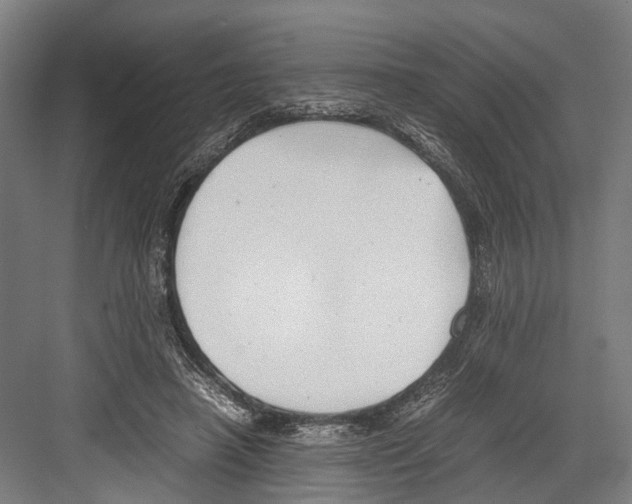 X0000081570450200702121426