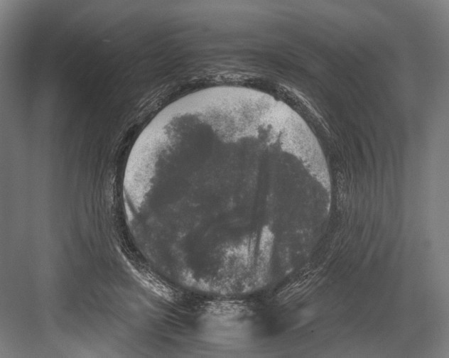 X0000081570451200702121426