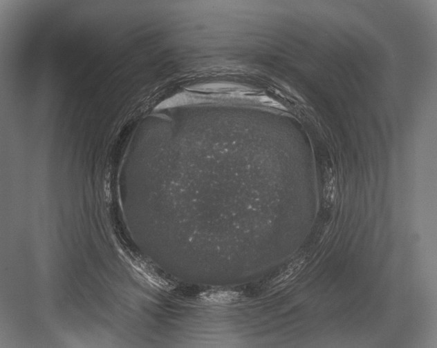 X0000081570452200702121426