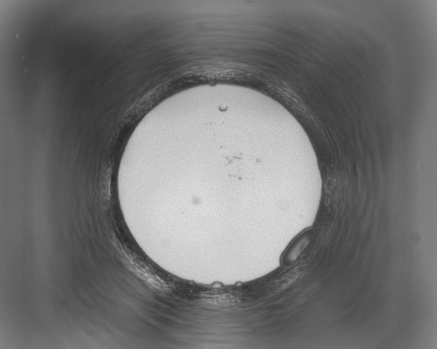 X0000081570454200702121426