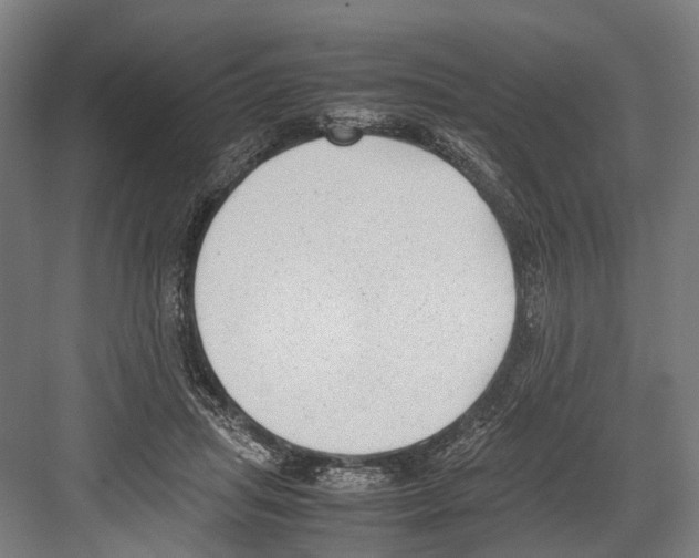 X0000081570455200702121426