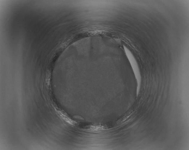 X0000081570458200702121426