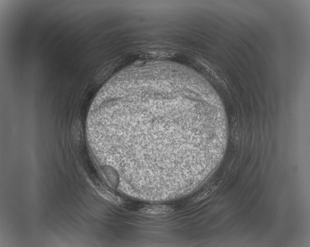 X0000081570459200702121426