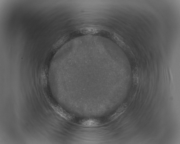 X0000081570460200702121426