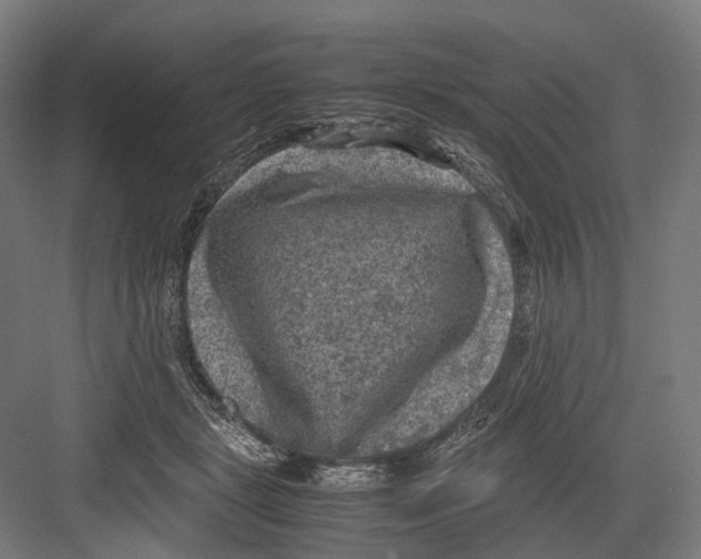 X0000081570461200702121426