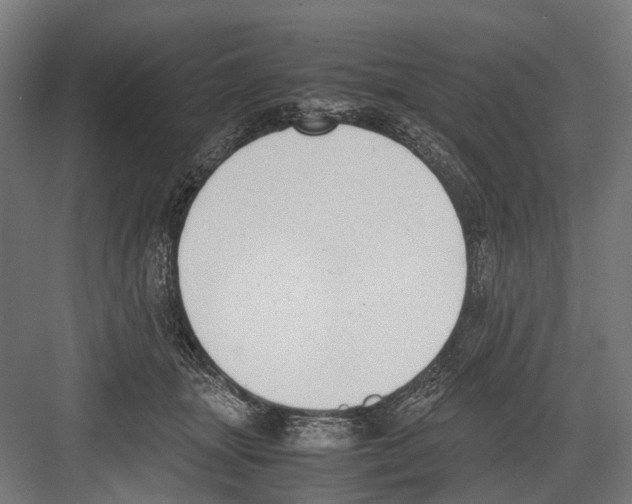 X0000081570463200702121426