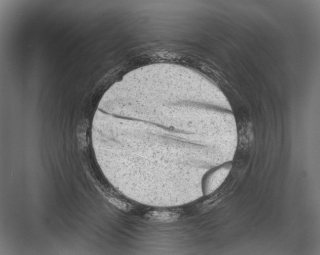 X0000081570464200702121426