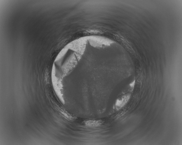 X0000081570465200702121426